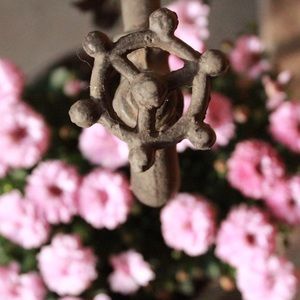 Meet your Posher, Keeley